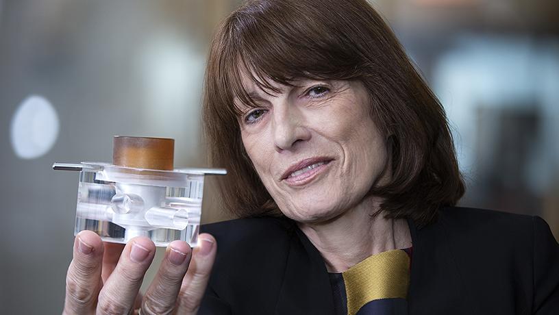 Professor Gordana Vunjak-Novakovic