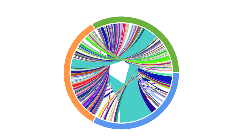 A Circos plot representing the results of matched T-cell receptor sequencing collected on a patient undergoing anti-PD1 therapy.