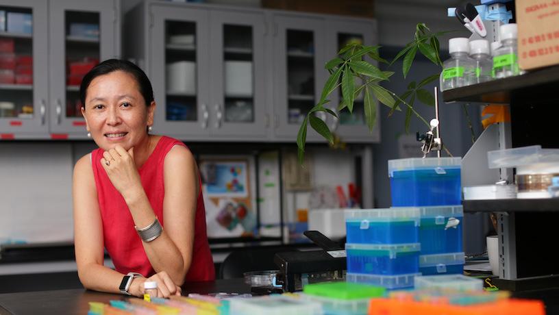 Helen Lu smiling and holding her chin as her arms rest on a lab table. Lab equipment sits to her left.