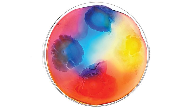 Finding Beauty in the World of Microbes | Biomedical Engineering
