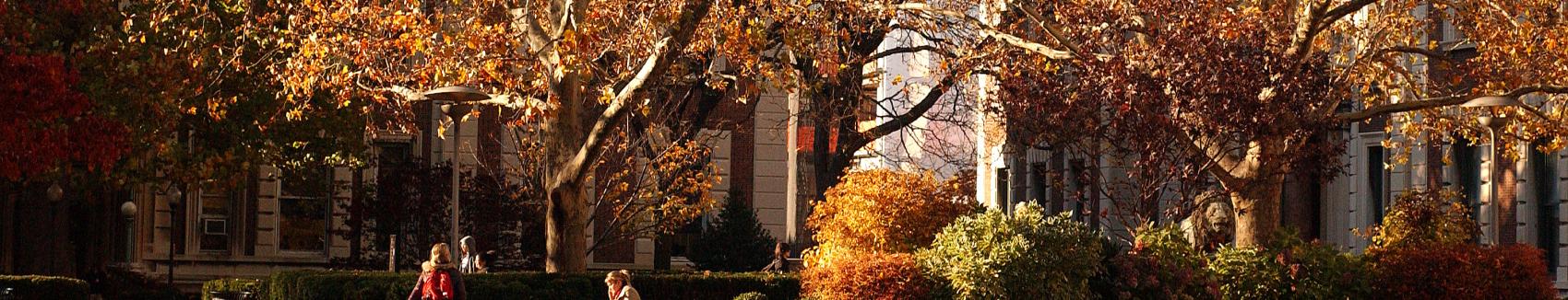 Autumn scene on a campus walkway with large trees in peak fall color, warm late-day sunlight, landscaped shrubs, and a few people walking in front of academic buildings.