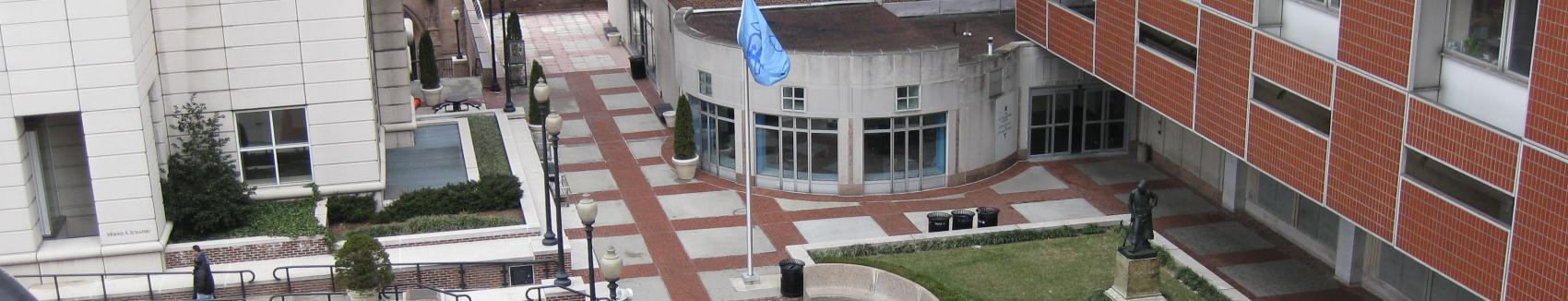 Mudd plaza from above.