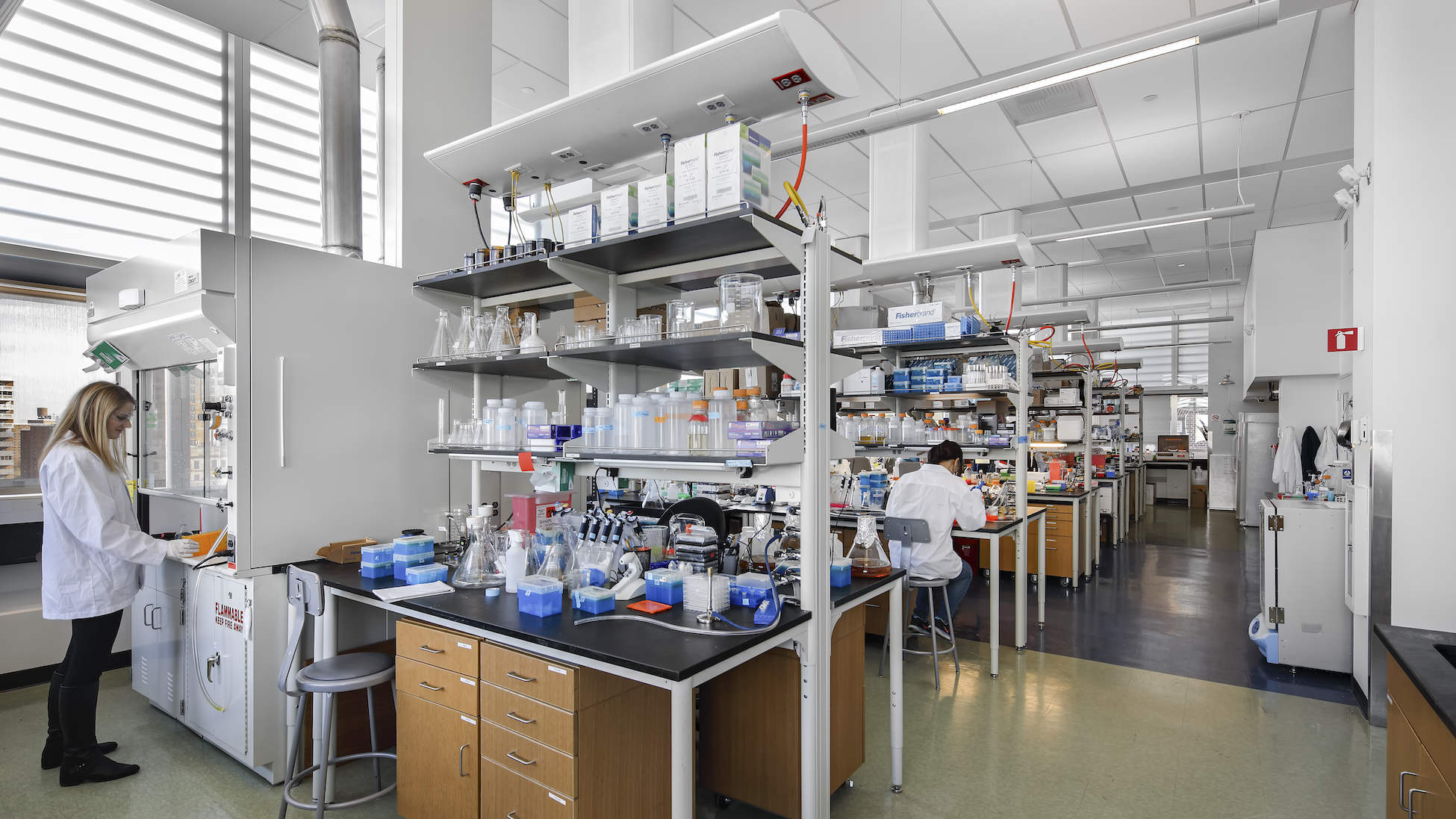 Bright, modern laboratory with long bench rows covered in beakers, pipettes, racks, and labeled containers; one researcher in a white lab coat works at a fume hood on the left while another sits at a bench farther back, with shelves of supplies and overhead utility lines running down the aisle.