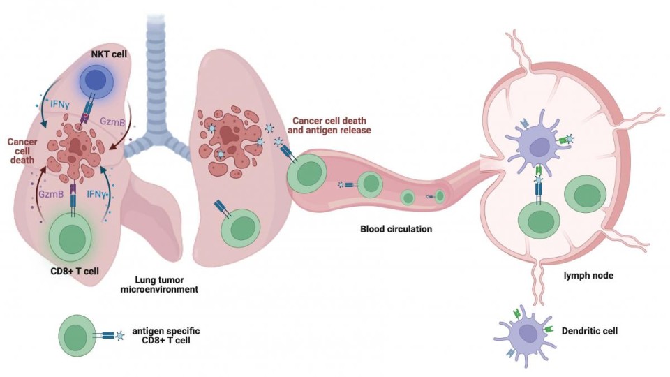 exosomes