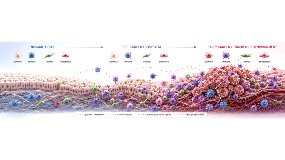 Early tumor–immune ecosystem rewiring